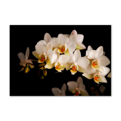 Akrilkép Orchidea