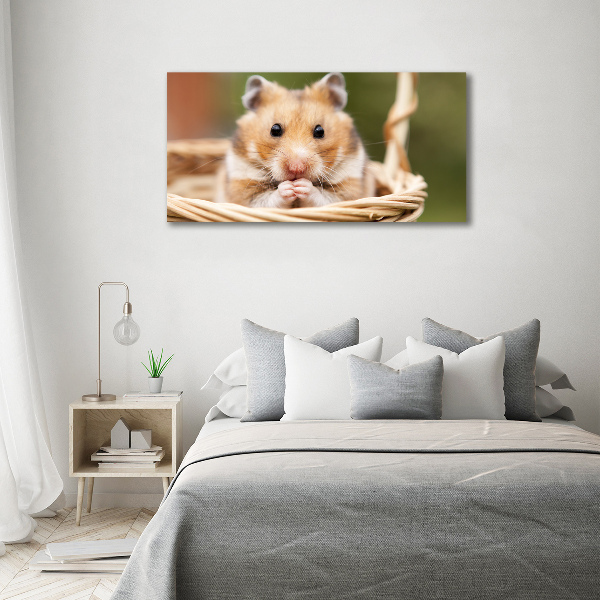 Akrilkép Hamster a kosárban