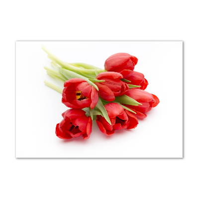 Akrilkép Piros tulipánok