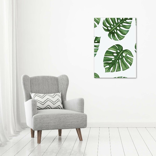 Akrilkép Monstera