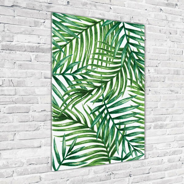 Akrilkép Pálmalevelek