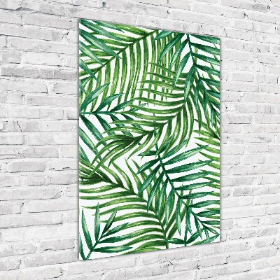 Akrilkép Pálmalevelek