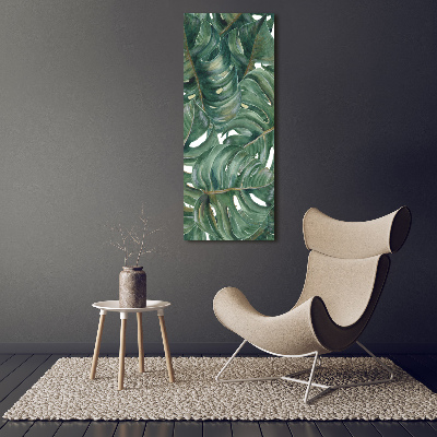 Akrilkép Monstera