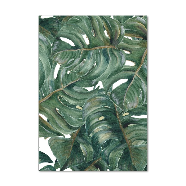 Akrilkép Monstera