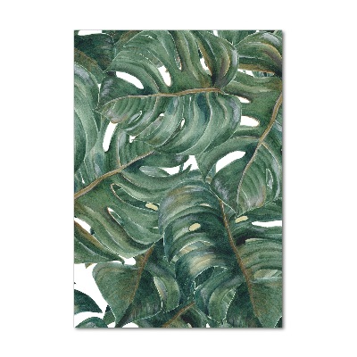 Akrilkép Monstera