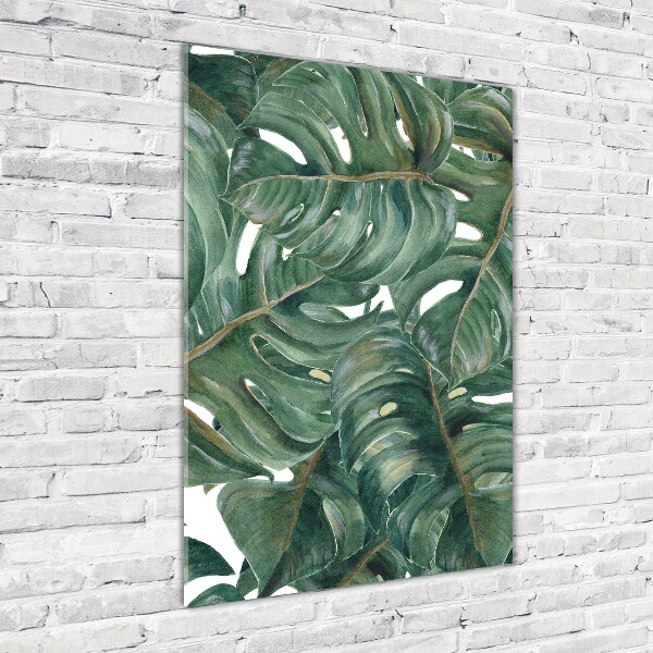 Akrilkép Monstera