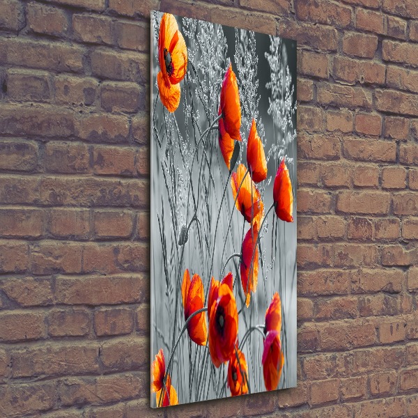 Akrilkép Vadvirágok pipacsok