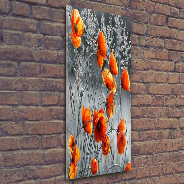 Akrilkép Vadvirágok pipacsok