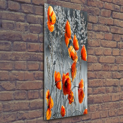 Akrilkép Vadvirágok pipacsok