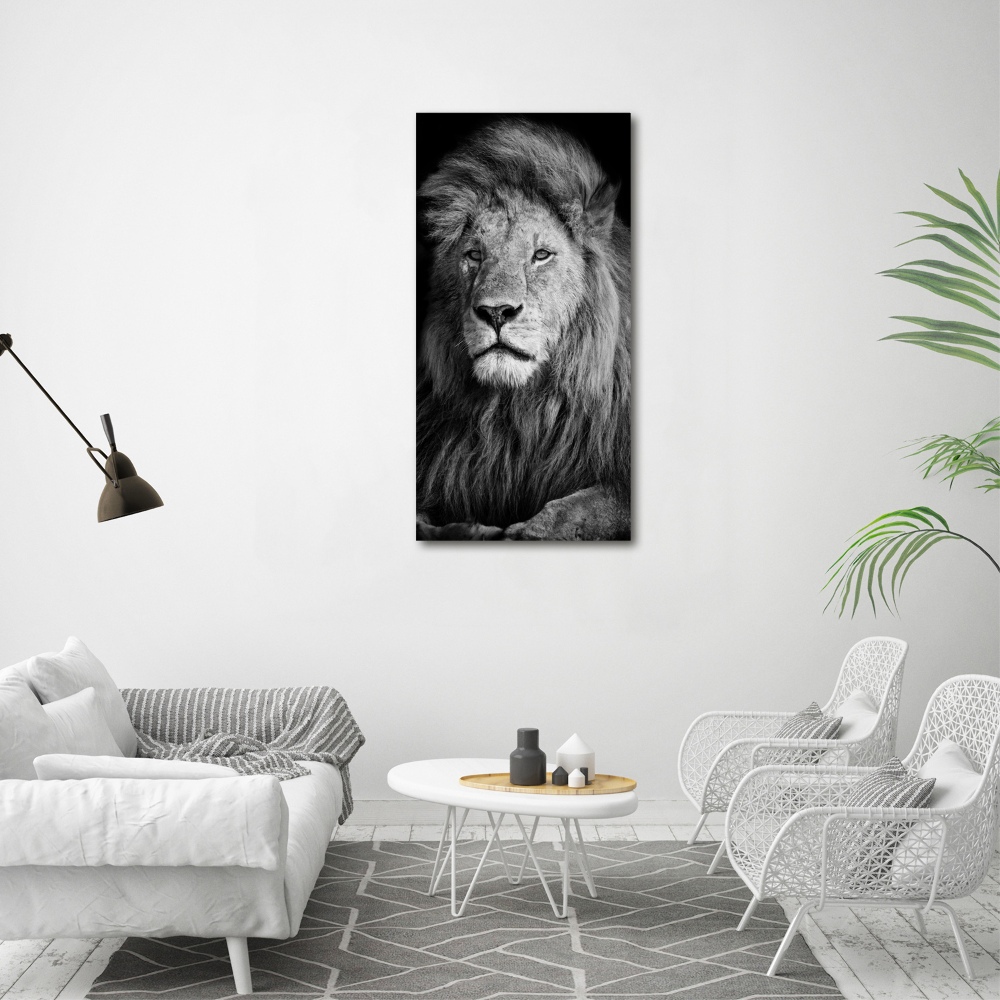 Akrilkép Portré egy oroszlán