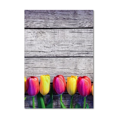 Akrilkép Színes tulipán