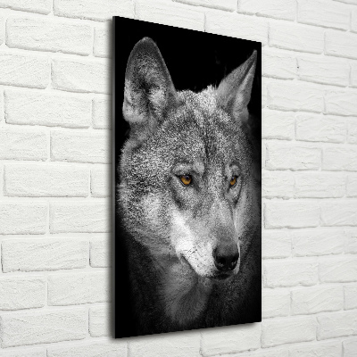 Akrilkép Portré a farkas