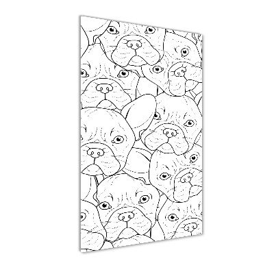 Akrilkép Francia bulldog