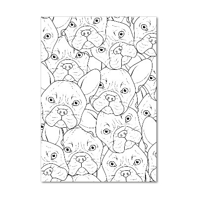 Akrilkép Francia bulldog