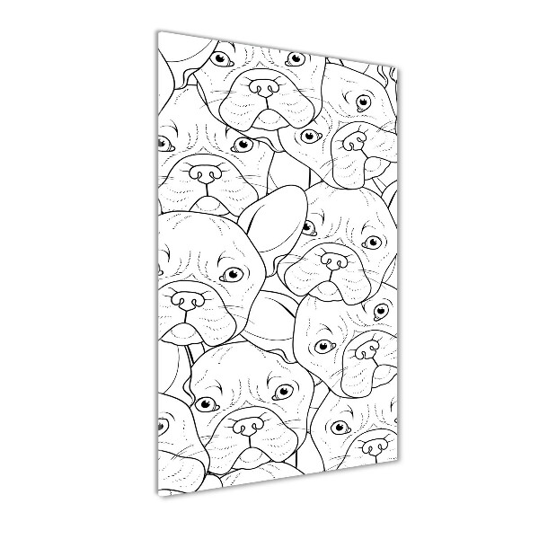 Akrilkép Francia bulldog