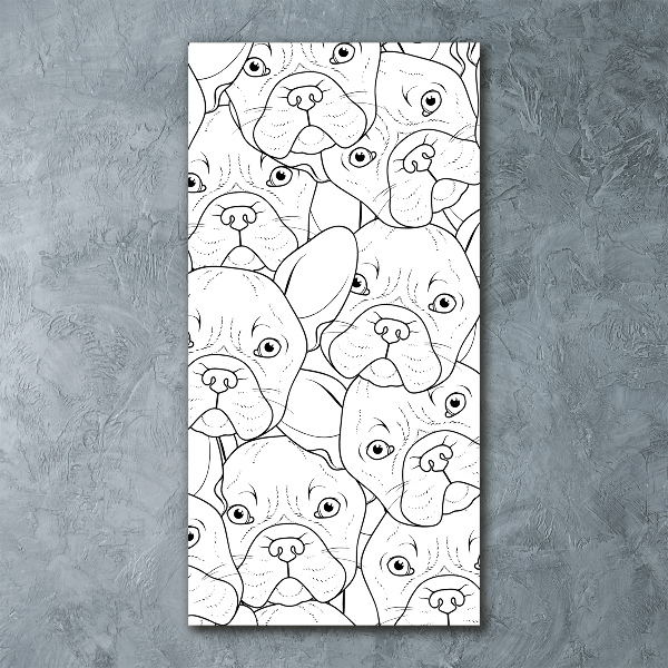 Akrilkép Francia bulldog