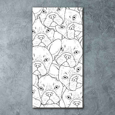 Akrilkép Francia bulldog