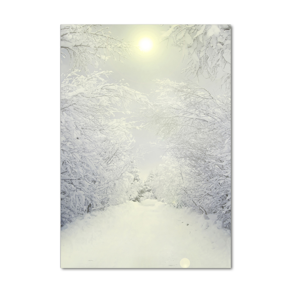 Akril üveg kép Erdőben télen