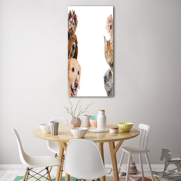 Akrilkép Kutyák és macskák