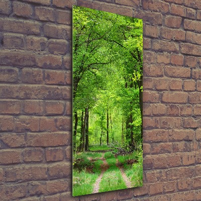 Akril üveg kép Zöld erdő