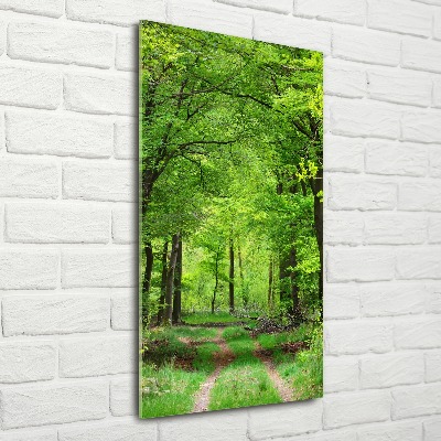 Akril üveg kép Zöld erdő
