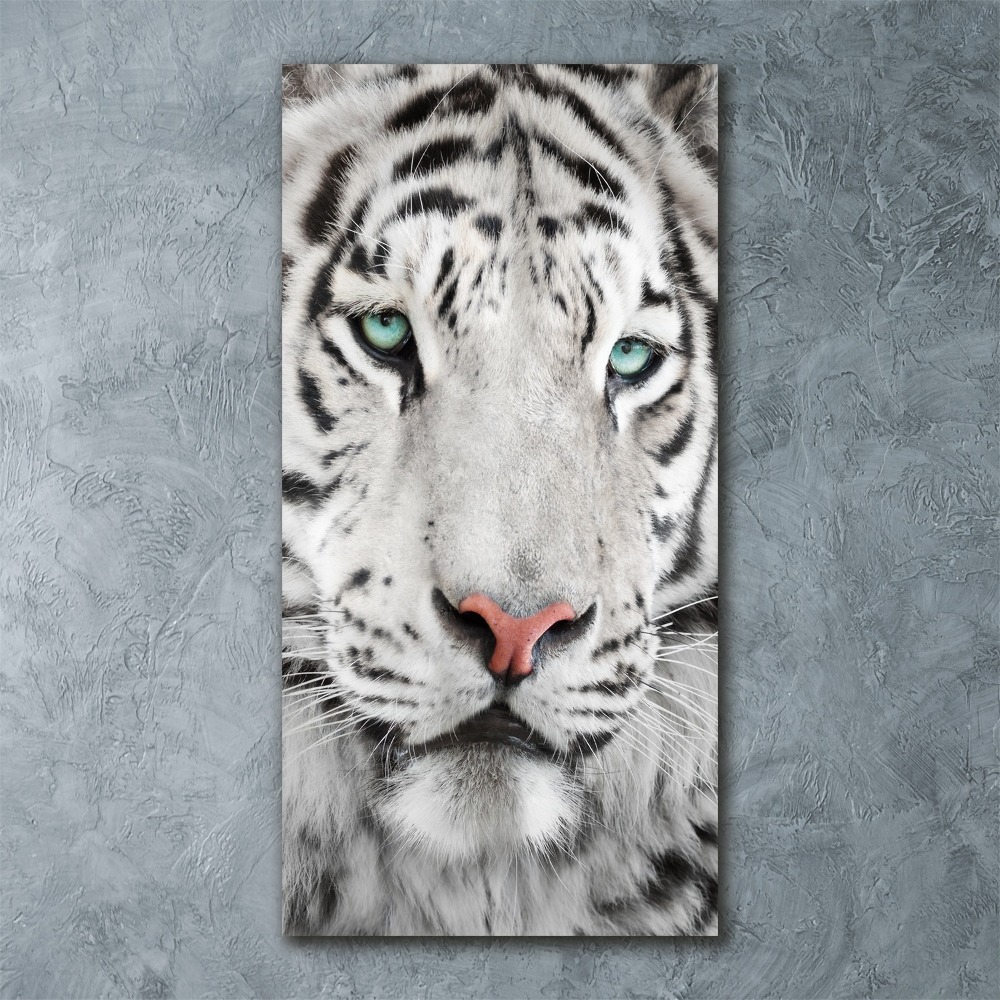 Akrilkép Fehér tigris