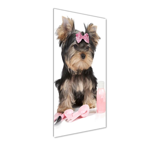 Akrilkép Yorkshire kozmetikumok