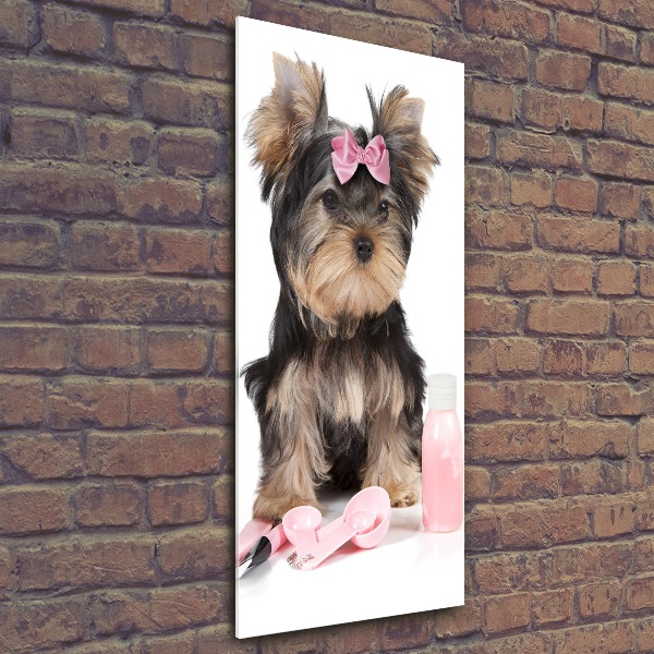 Akrilkép Yorkshire kozmetikumok