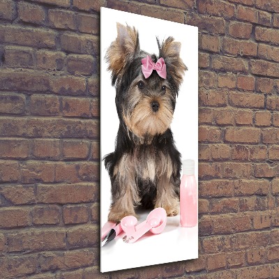 Akrilkép Yorkshire kozmetikumok