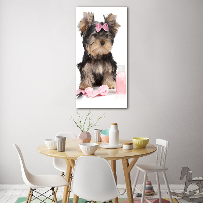 Akrilkép Yorkshire kozmetikumok