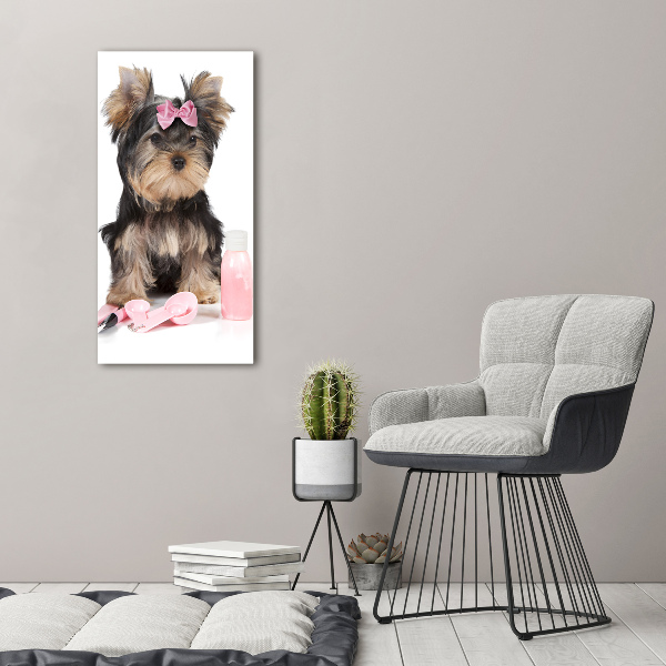 Akrilkép Yorkshire kozmetikumok