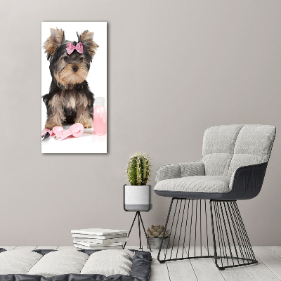 Akrilkép Yorkshire kozmetikumok