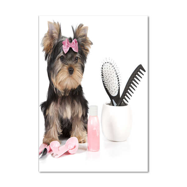 Akrilkép Yorkshire kozmetikumok