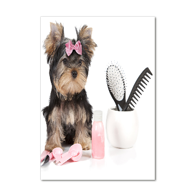 Akrilkép Yorkshire kozmetikumok