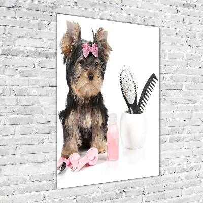 Akrilkép Yorkshire kozmetikumok