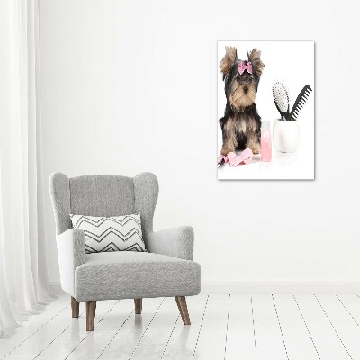 Akrilkép Yorkshire kozmetikumok