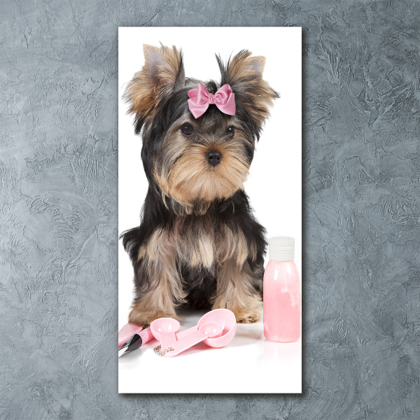 Akrilkép Yorkshire kozmetikumok