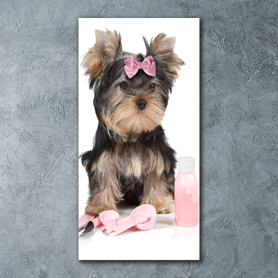 Akrilkép Yorkshire kozmetikumok