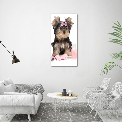 Akrilkép Yorkshire kozmetikumok