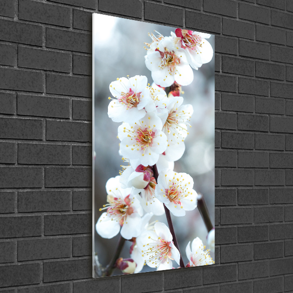 Akrilkép Cseresznye virágok