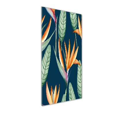 Akrilkép Strelitzia reginae