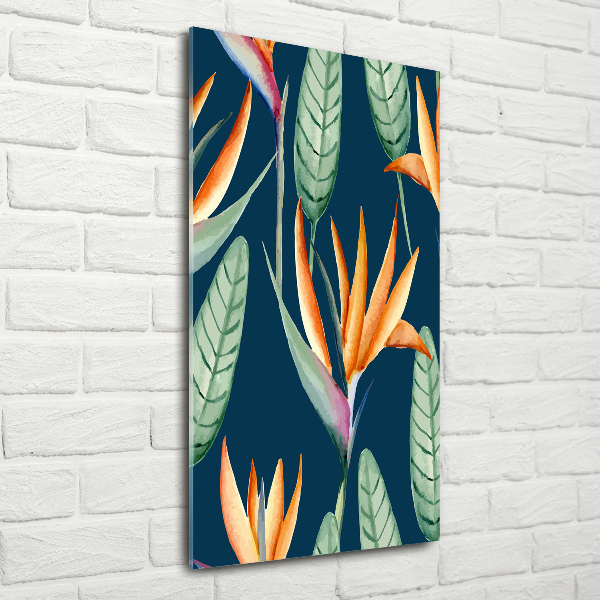 Akrilkép Strelitzia reginae