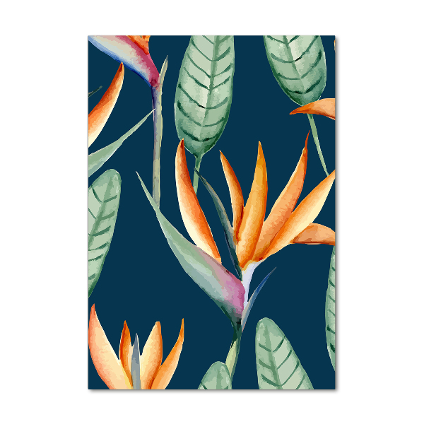 Akrilkép Strelitzia reginae