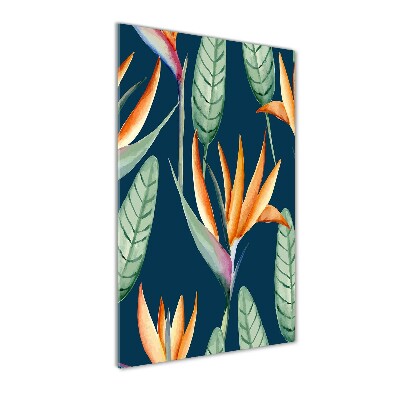 Akrilkép Strelitzia reginae