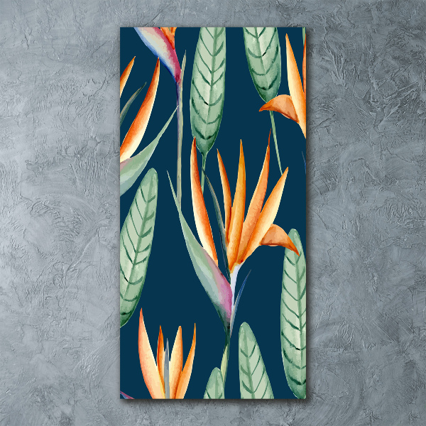 Akrilkép Strelitzia reginae