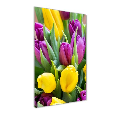 Akrilkép Színes tulipán