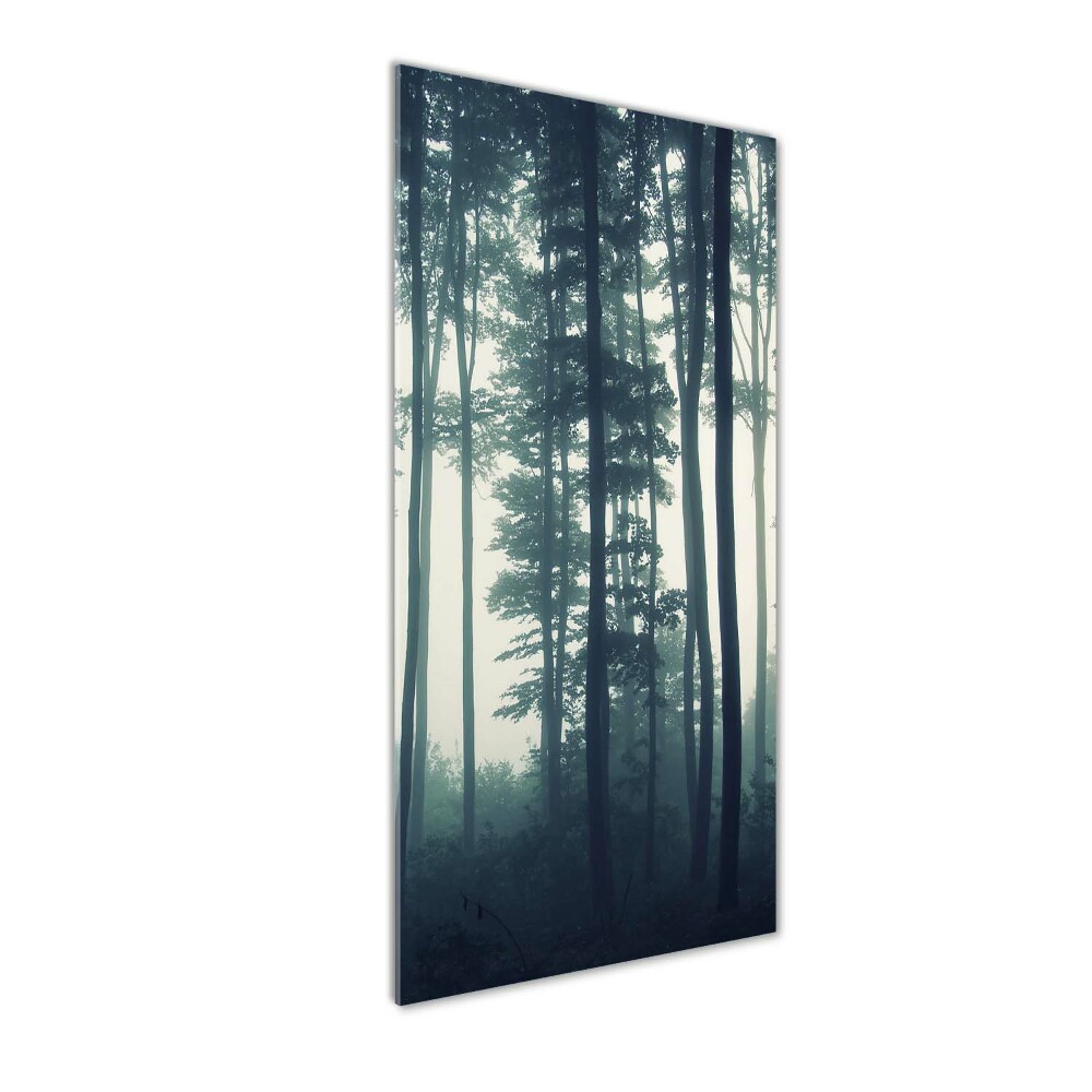 Akril üveg kép Köd az erdőben