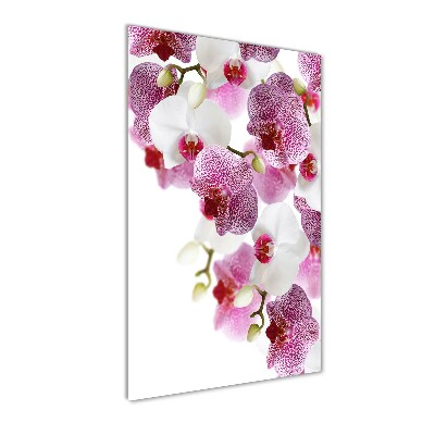 Akrilkép Orchidea