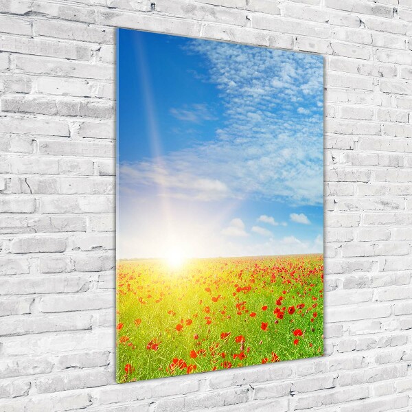 Akril üveg kép Területén a pipacsok