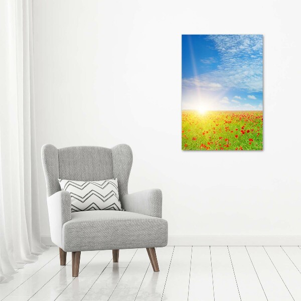 Akril üveg kép Területén a pipacsok